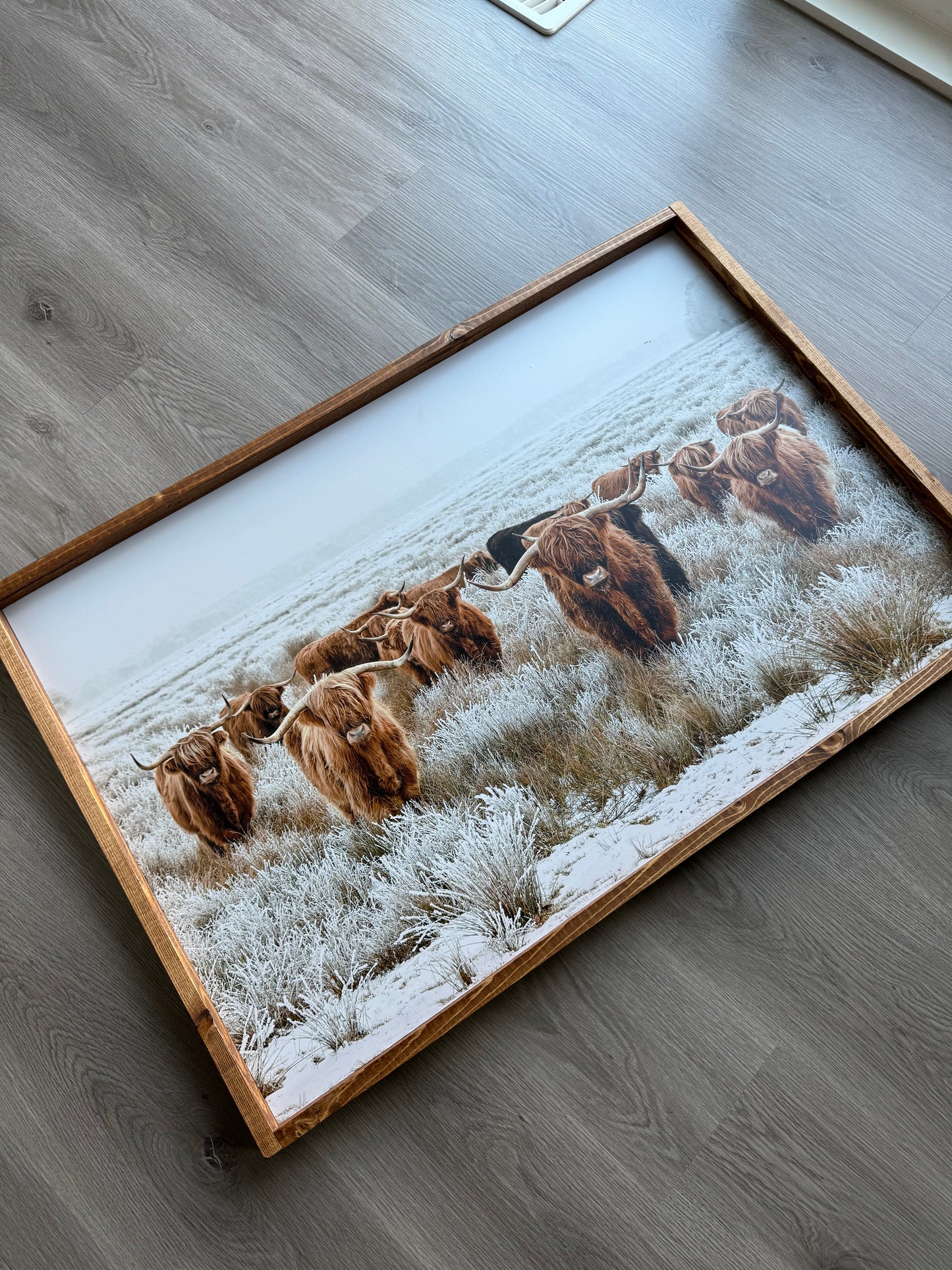 Highland Cows Wall Decor
