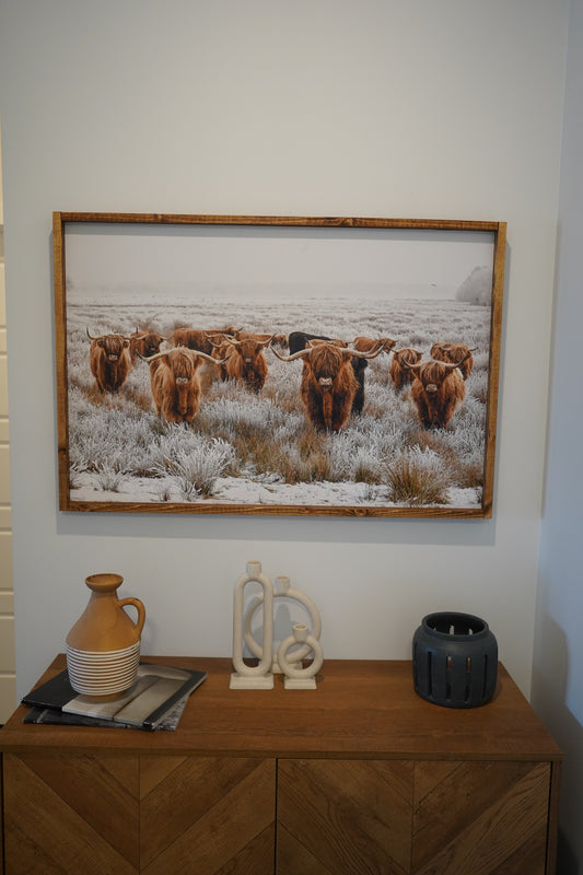 Highland Cows Wall Decor